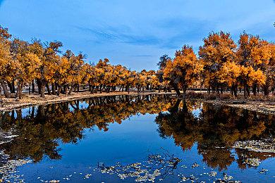 《守望先锋2》首月玩家超3500万